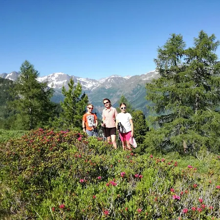 Gaestehaus Schernthaner