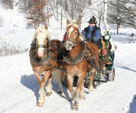 Gaestehaus Schernthaner Dorfgastein