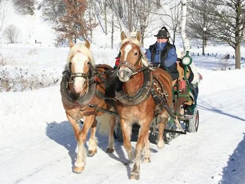 Gaestehaus Schernthaner 多弗加斯坦